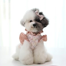 개과천선 강아지 에어샤밍 하네스, 핑크, 1개