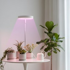 LENA ENERGY 定時器圓形植物燈 白色