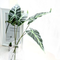 Garden in the City 海龜海芋茄子, 4個, 混合顏色