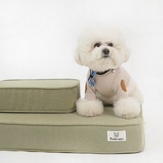 REDPUPPY 狗狗用 Repoom 寵物階梯, 1套, 綠色