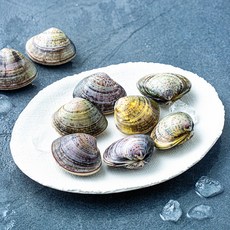 국내산 백합조개 (냉장), 1개, 400g