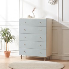 비앙스 코넬 폭넓은 서랍장 방문설치, 터쿼이즈, 5단