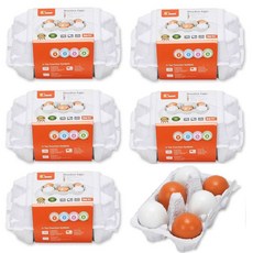 VIGA 模型雞蛋 6入+雞蛋盒 6組, 混色