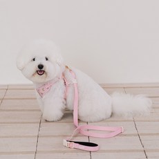 likalika 寵物小熊貝貝免持牽繩, 1個, 粉紅色