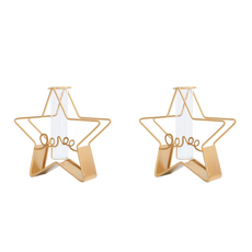 몽지아 철제 프레임 인테리어 미니 화분 2p, 별