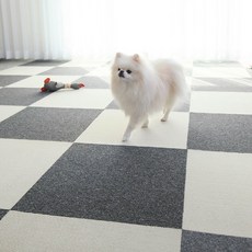 딩동펫 반려동물 블럭카페트 차콜 10p + 아이보리 10p 세트, 혼합색상, 1개