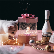 禮物盒 貓咪, 混色