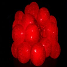 漂亮的 LED 30 燈泡連接聖誕燈泡 + 閃爍電源插孔套裝, 透明（線），紅色（大理石）
