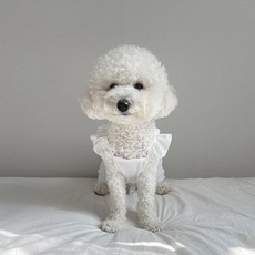Grooming Dog 寵物荷葉邊翅膀連身衣, 1個