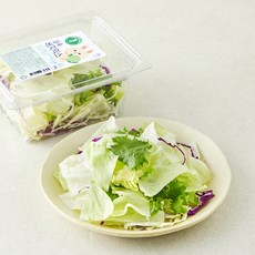 그린래빗 실속 베지믹스, 100g, 1개