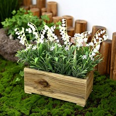 Garden in the City 勿忘我花壇, 混色