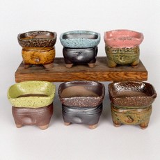 方形多肉花盆 6入, 隨機出貨, 6個