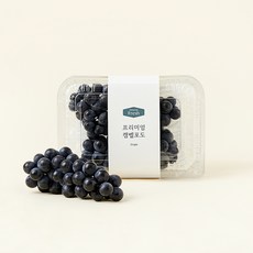 프리미엄 캠벨 포도, 500g, 1개