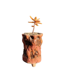 나무조각 디자인 원통형 화분 YT_RA050, 레드