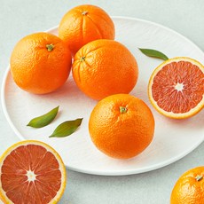 다조은 호주산 카라카라 오렌지, 1개, 1.2kg