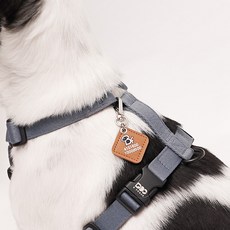 뽀시래기 강아지 동물등록 RFID 외장칩 인식표 후크형 가죽, 2, 1개