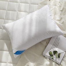 SHEZ HOME 羽絨壓紋枕芯 拉鍊型, 白色