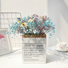 GAPANG 乾花DRYJ044+花盆套組, 05 號