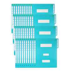 MiDAS Wiz office 黃鐵礦蜈蚣信息文件, 40個, 天藍色