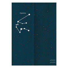 A-hope 流星分隔門簾 雙開式, Type 06