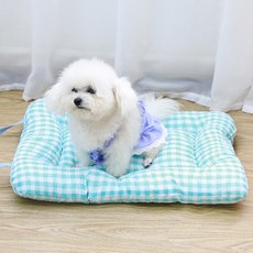 파스텔펫 반려동물 핸들 체크패턴 쿠션, 블루, 1개