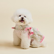 Woolly 寵物 Fleur 胸背帶套組, 1套, 粉紅色