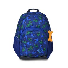 stones and bones Elementary School 背包林登霸王龍