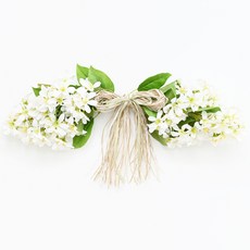 城市花園茉莉花花環, 乳白色