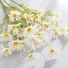 더플로우커머스 조화 홈플로우 국화 데이지 다발, 화이트, 5개