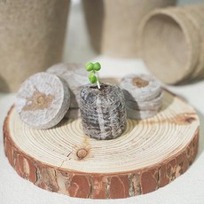 갑조네 지피펠렛 33mm, 50개