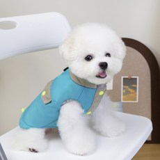 파스텔펫 반려동물 방수 어드벤쳐 조끼, 블루, 1개