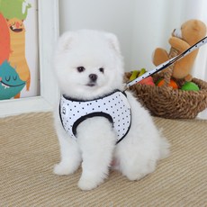 에이미러브즈펫 강아지용 JJ 도트하네스 + 리드줄 세트, 화이트