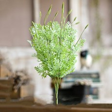 GAPANG 乾花 02 號 DRYE025, 綠色