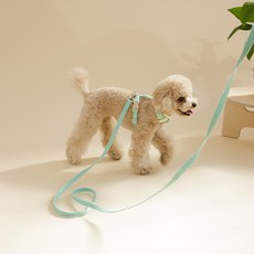 hitzzi 狗狗超輕量扣環牽繩, 薄荷綠, 1個