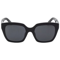 CELINE 太陽眼鏡 CL40198F