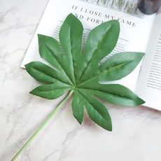 Store91 尤加利葉拍攝道具 F, 混色, 1個