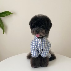 Bonjour Toutou 法式四腳連身雨衣, 藍色, 1個