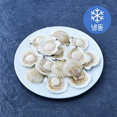 The더착한 반가리비 (냉동), 1개, 720g(28/32미)