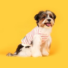 플로트 강아지 스탠다드 민소매 티셔츠, 핑크, 1개