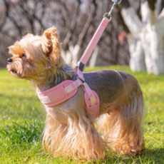 바오스레 강아지 무압박 야외 하네스, 핑크, 1개