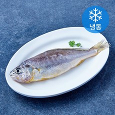 제주어가 참조기 (냉동), 1개, 100g(대)