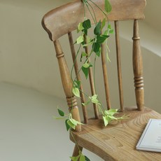 ScentBasket 綠葉懸掛藤蔓人造植物, 1個, 斯麥拉克斯