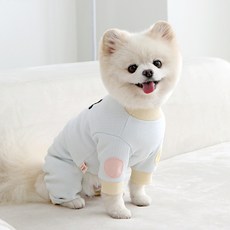 ITS DOG 迪士尼狗狗寶貝朋友連身衣, 米奇, 1個