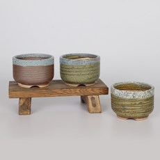 圓形多肉花盆 3入, 隨機出貨, 3個