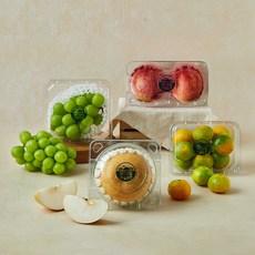 과일맛선 미니 세트, 1세트, 2.25kg