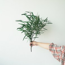 GAPANG 乾花桉樹 DRYB163, 04綠色