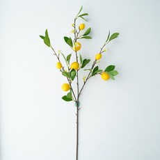 틴코 조화 데코레이션 인조 가지 레몬 7p, 혼합색상, 1개