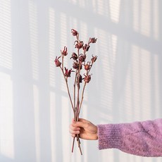 GAPANG 乾花玫瑰04號 DRYB189, 紅色的