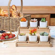 언더보스 백자 다육 화분 사각, 6개, 흰색