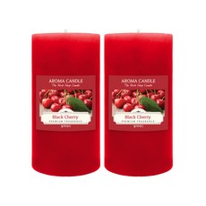 더허브샵 아로마 캔들, 블랙체리, 570g, 2개
